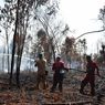 Kawasan Cagar Biosfer Giam Siak Kecil Terbakar, BBKSDA: Pasti Ulah Manusia
