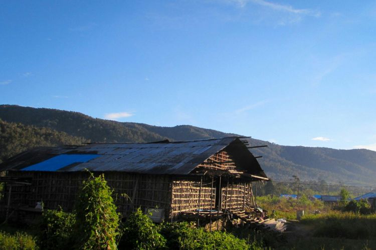 Cahaya pagi menerpa sisi depan rumah tradisional penduduk Pegunungan Arfak.