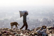 Tinggi Gunung Sampah di New Delhi Sudah Melampaui Taj Mahal