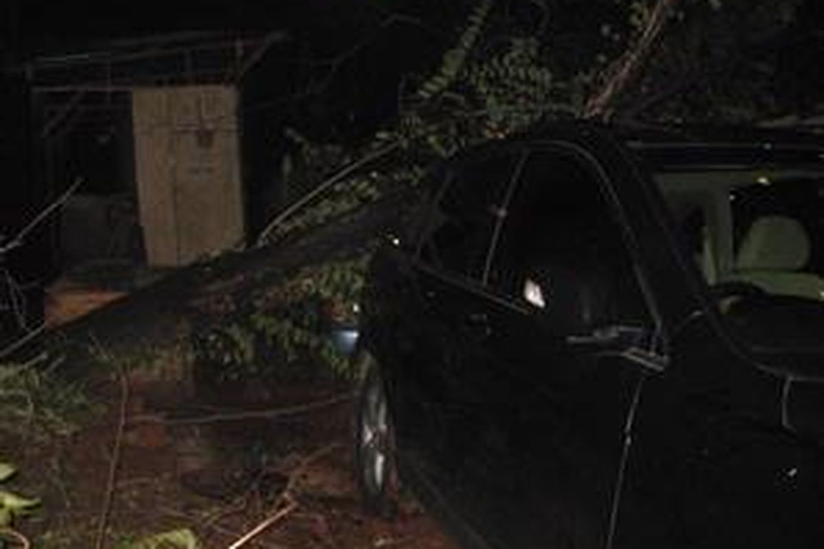 Pohon tumbang di Jalan Cipaku IV Jakarta Selatan, Kamis (12/11), menimpa dua mobil yang diparkir di depannya.
