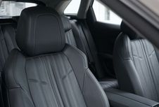 Solusi Mengatasi Jamur pada Jok Mobil