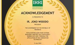 IRRI Berikan Klarifikasi soal Misinformasi Penghargaan Swasembada Beras untuk Indonesia 