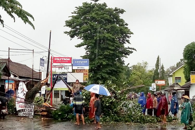 Warga bergotong-royong menebang pohon yang tumbang menutup akses jalan raya Tajem Km 3 ,Wedomartani, Ngemplak, Sleman