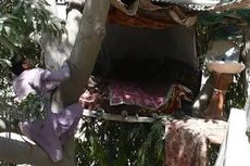 Terlalu Miskin, Pria Pakistan Tinggal di Rumah Pohon Selama 8 Tahun