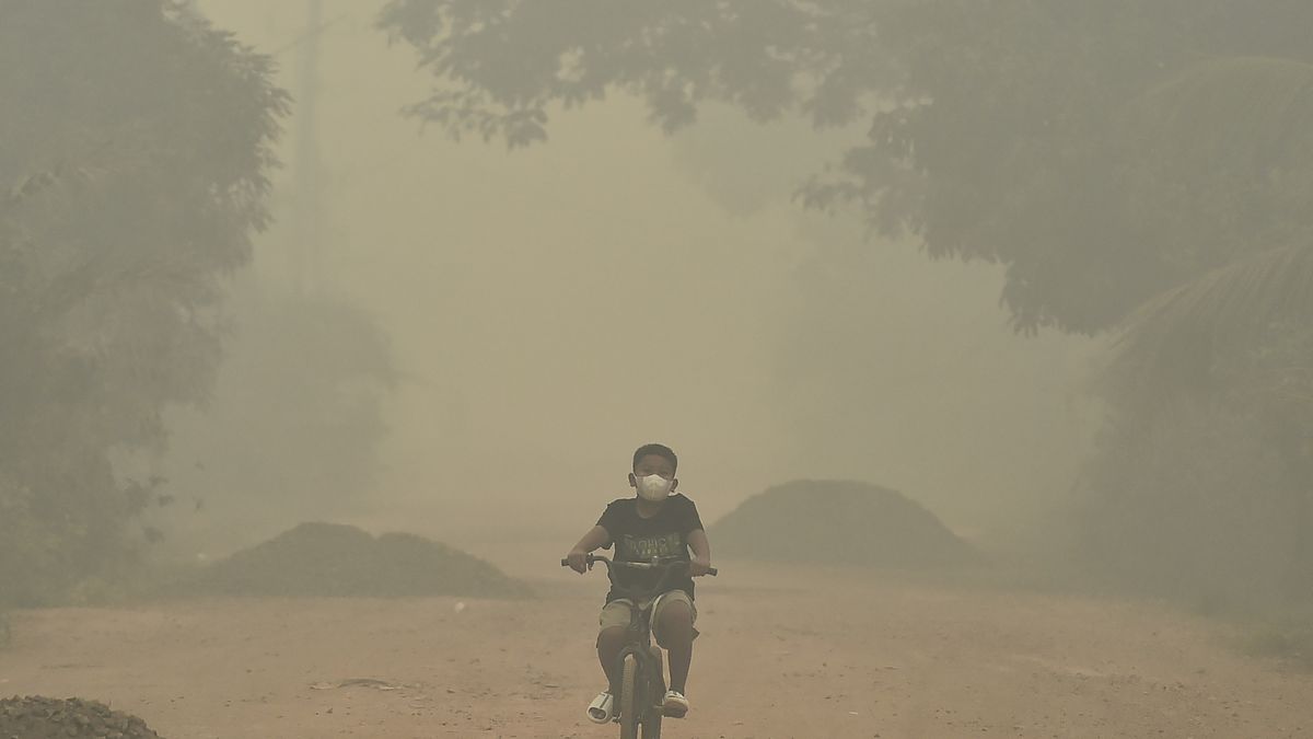Photo: Kompas ASEAN Haze Crisis Stokes Diplomatic Tensions and Economic Loss