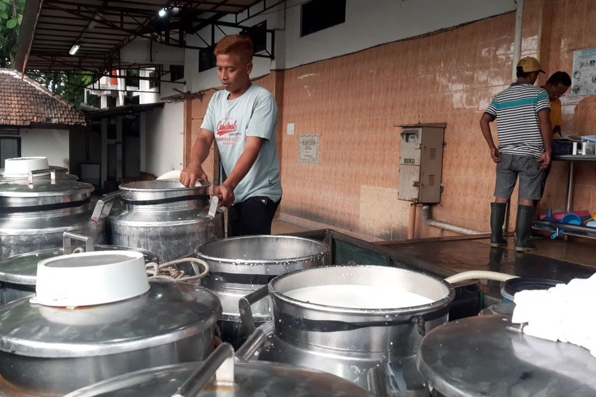 Buntut Aksi Buang Susu, Pemerintah Dorong Koperasi Peternak Sapi Perah Boyolali Miliki Pabrik Susu