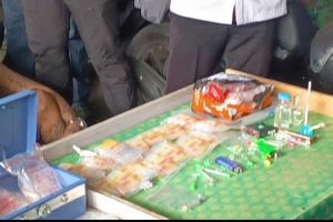 Gerebek Kampung Berlan, BNN Sita Ganja, Sabu hingga Senapan Angin dari Bandar