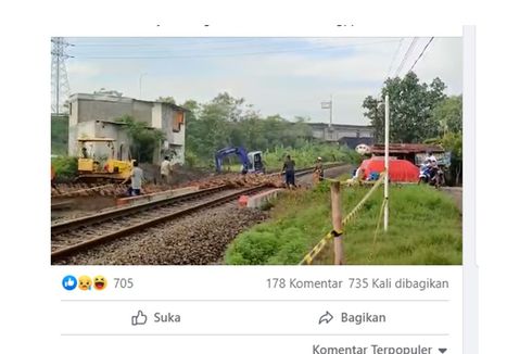 Video Viral Kawanan Bebek Tertabrak Kereta di Sidoarjo, Begini Ceritanya