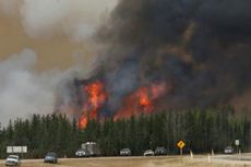 Jilatan Api Setinggi 60 Meter, Konvoi 1.500 Mobil Evakuasi di Alberta Gagal