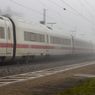 UPDATE Serangan Pisau di Kereta Jerman, Tersangka Orang Arab Diduga dengan Masalah Kejiwaan