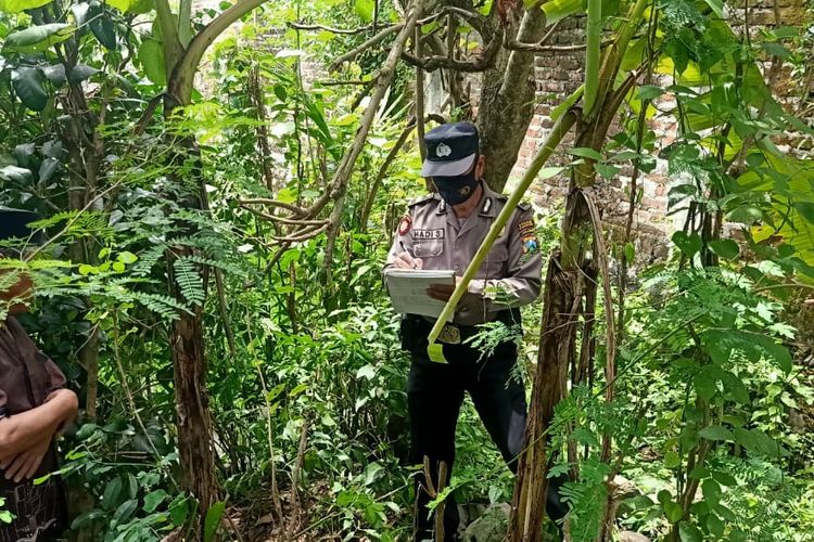 JATUH-- Polisi menunjukkan lokasi jatuhnya kakek Samuri dari pohon waru saat mencari pakan ternak kambingnya di Desa Ngumpul, Kecamatan Balong, Kabupaten Ponorogo, Jawa Timur, Senin (31/1/2022).