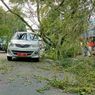 Pohon Tua Tiba-tiba Tumbang, Timpa Mobil Protokol Setda Sumedang