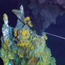 Ventilasi Hidrotermal Baru Ditemukan di Laut Pasifik, Ini Kata Ahli