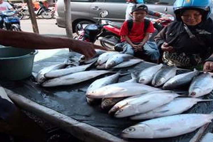 Warga memilih ikan bandeng yang dijual pedagang  di Kawasan Rawa Belong, Jakarta Barat, Jumat (8/2/2013). Bandeng-bandeng yang banyak dibeli warga untuk menyambut Tahun Baru Imlek itu dijual Rp 50.000 per kilogram. 
