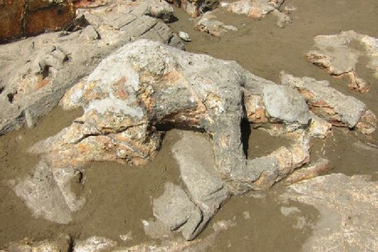 Batu yang dipercaya adalah tubuh Malin Kundang di Pantai Air Manis, Sumatra Barat.