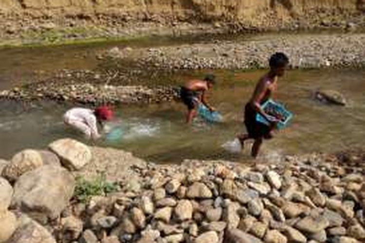 Puluhan bocah di Kecamatan Anreapi, Polewali Mandar, Sulawesi Barat, bekerja sebagai pungumpul batu dan kerikil di sungai. Mereka berhenti menjelang petang, lalu menjual sayur berkeliling kampung sambil berjalan kaki hingga belasan kilometer.