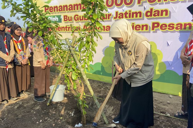 Khofifah Tanam 4 Jenis Pohon di Malang, Apa Alasannya?