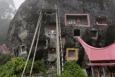 Toraja, Nias, dan Batak Satu Rumpun