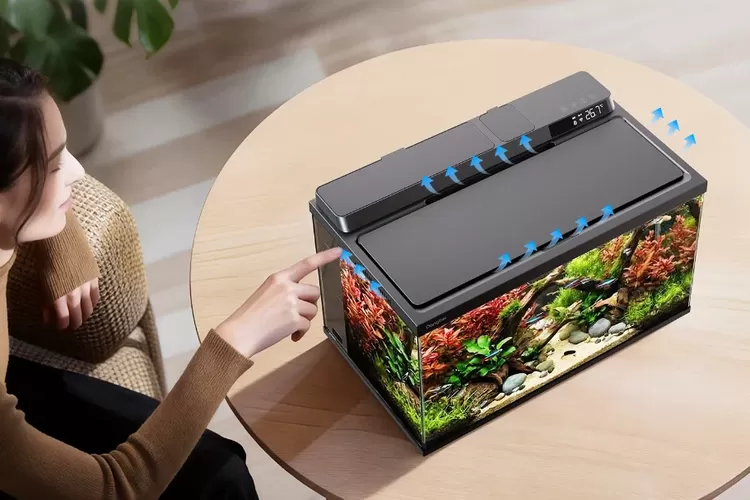 Perusahaan teknologi asal China, Dangbei memperkenalkan akuarium pintar bernama Smart Fish Tank 2S Ultra.