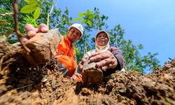 PGN Borong 16 Penghargaan dalam ESG Awards 2020