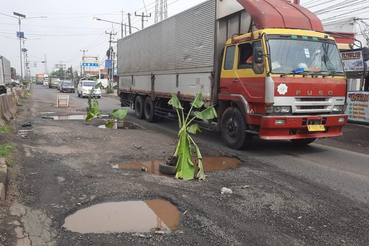 Sejumlah lubang ditanami pohon pisang di Jalan Pantura Karawang, Jawa Barat, tepatnya kopel, Klari, Karawang, Rabu (13/3/2024).