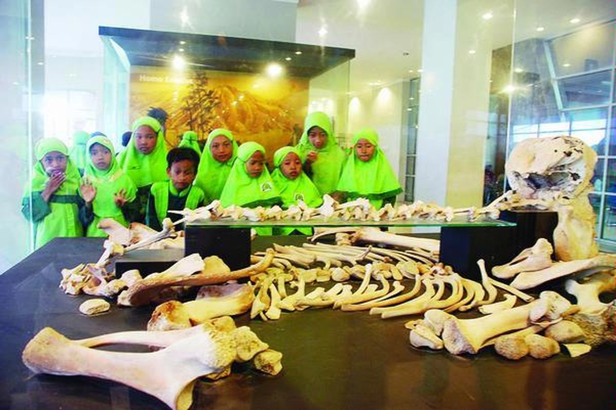 Para siswa Sekolah Dasar Islam Terpadu Al-Hijrah melihat tulang-belulang gajah sumatera (Elephantidae) yang dipamerkan di Museum Negeri Sumatera Utara, Medan, Kamis (29/4). Anak-anak sangat antusias melihat koleksi museum karena sebelumnya mereka hanya melihat sebagian besar koleksi tersebut melalui layar televisi.