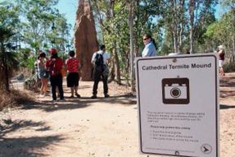 Wisatawan pada Selasa (9/7/2013) melihat gundukan rumah rayap (anai-anai) yang meninggi di Taman Nasional Litchfield, Australia Utara, yang disebut Cathedral Termite Mound. Rumah serangga itu mengilhami seni arsitektur bangunan bertingkat. Di kawasan tersebut ada ribuan gugusan rumah anai-anai.