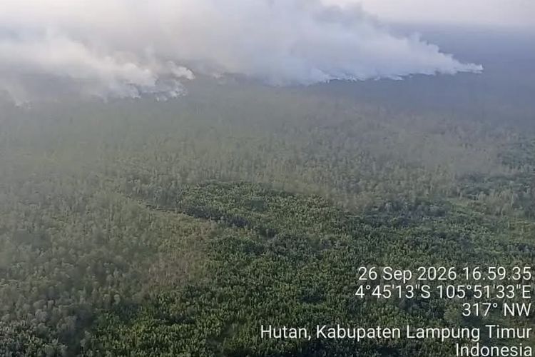 Masih Terdeteksi Titik Api di Hutan Rawa di Way Kambas, Pusdalops BPBD Lampung Tambah Selang Pemadaman