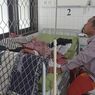Kunjungan ke Pasien Bikin Penularan Campak di Sumenep Meluas
