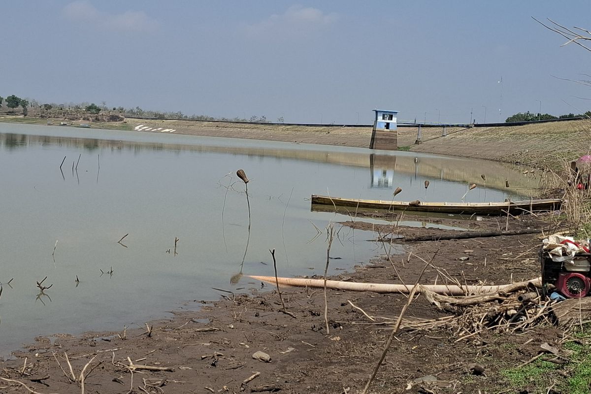 SUSUT—Nampak volume Waduk Dawuhan yang berada di di Desa Plumpungrejo, Kecamatan Wonoasri, Kabupaten Madiun, Jawa Timur menyusut tajam akibat musim kemarau yang berkepanjangan.