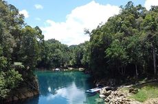 Danau Uter Biru Papua:Daya Tarik, Jam Buka, dan Lokasi