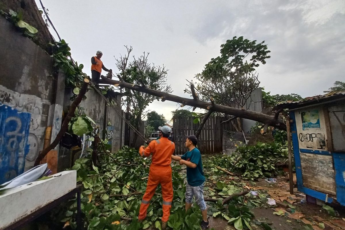Pohon tumbang menimpa warung kelontong dan rumah makan di Jalan Buaran Raya, Serpong, Tangerang Selatan, Rabu (16/6/2021).