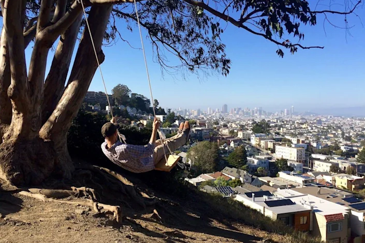 The swing on top of Billy Goat Hill. 