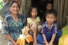 Tinggal di Gubuk di Tengah Hutan, Nenek Lempan Didik Cucunya Utamakan Sekolah