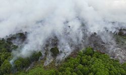 Memasuki Musim Kemarau, Titik Panas Karhutla Naik 3 Kali Lipat 