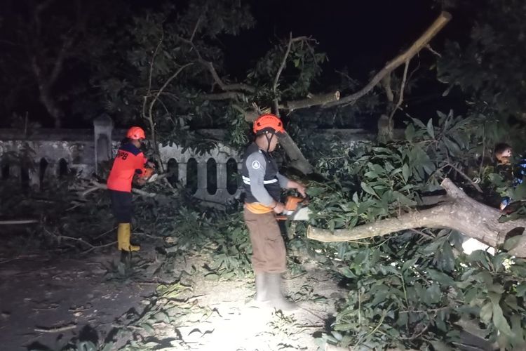 Petugas BPBD Kota Sukabumi saat melakukan penanganan pada pohon tumbang yang terhadi di Jalan Taman Bahagia, Kecamatan Warudoyong. Kamis (29/1/2025).