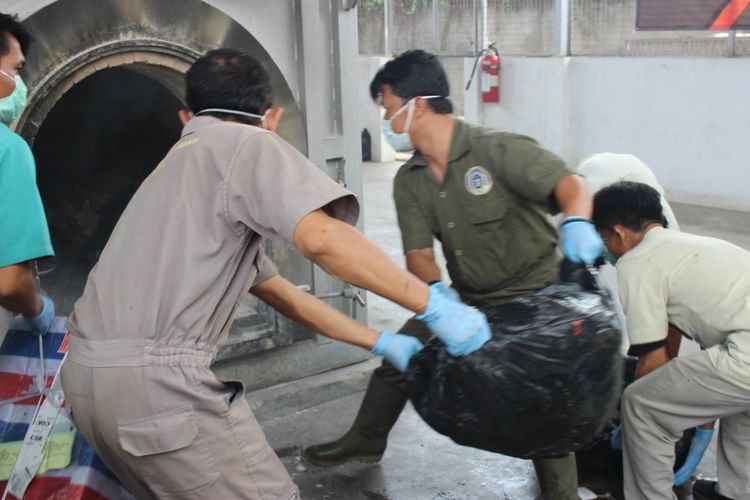 Pemusnahan Bibit Jagung Berbakteri asal Thailand di Bandara Soekarno-Hatta, Kamis (29/11/2019)