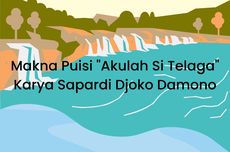 Makna Puisi "Akulah Si Telaga" Karya Sapardi Djoko Damono