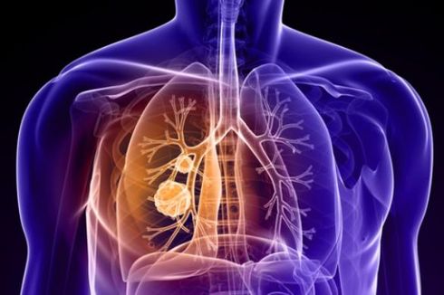 Paru-paru: Kapasitas, Proses, dan Jenis Pernapasan