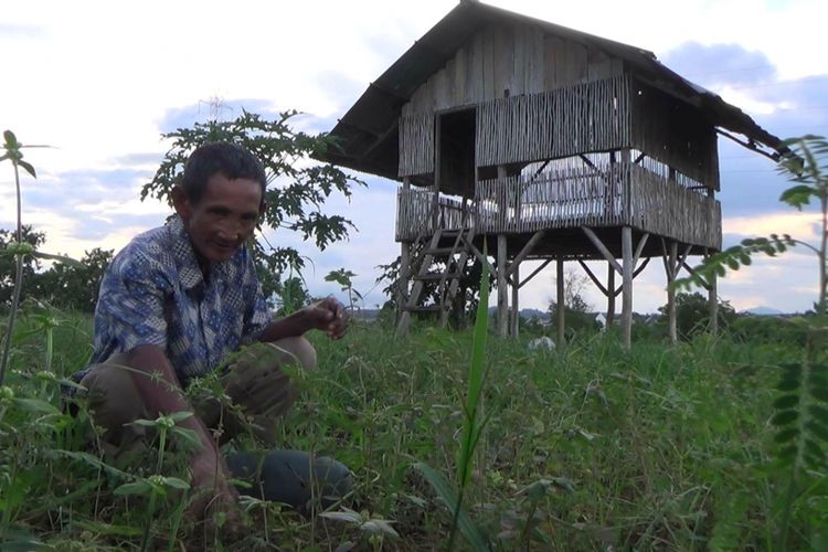 Subarkat saat menyiangi lahan yang dikelolanya di Jalan Padat Karya Selindung, Pangkal Pinang.