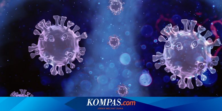Studi Seroprevalensi Memprediksi 15 Persen Populasi Indonesia Terinfeksi Covid-19