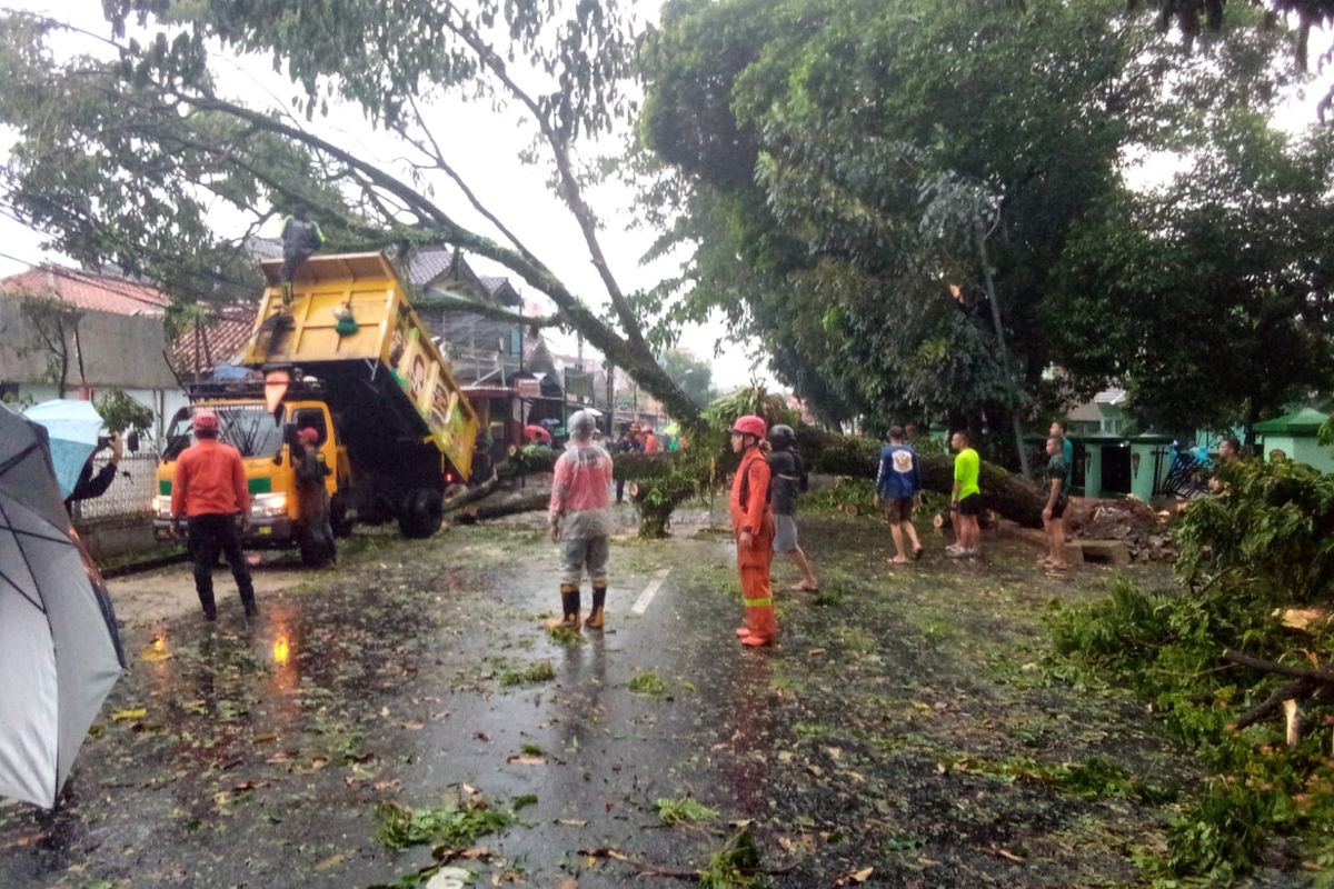 Hujan deras disertai angin kencang menyebabkan pohon tumbang di Jalan Raya Gunung Batu, Selasa (31/10/2023).