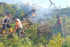 70 Hektar Hutan dan Lahan di Rokan Hulu Terbakar, Api Akhirnya Padam