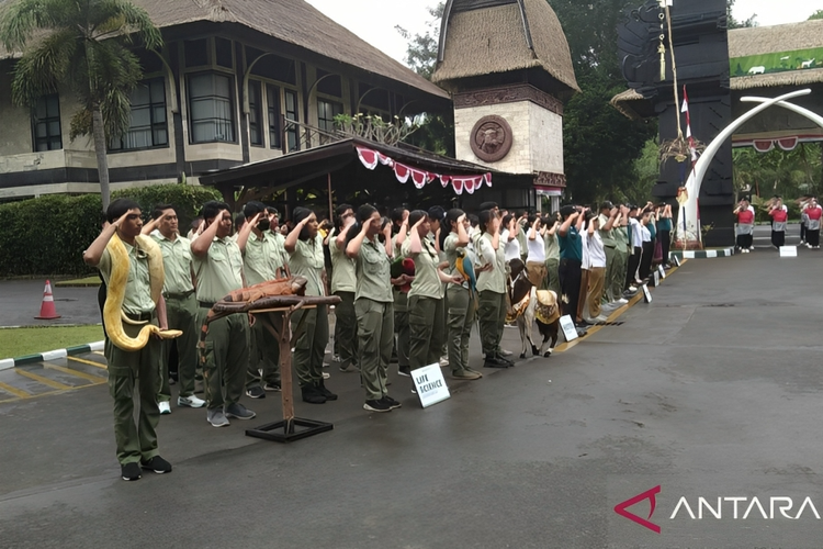 Sejumlah satwa mengikuti upacara HUT ke-78 Kemerdekaan RI di Bali Safari, Kabupaten Gianyar, Bali, Kamis (17/8/2023).