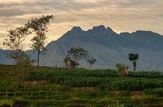 Pendakian Bukit Semar di Mojokerto Dibuka, Harga Tiket Rp 5.000