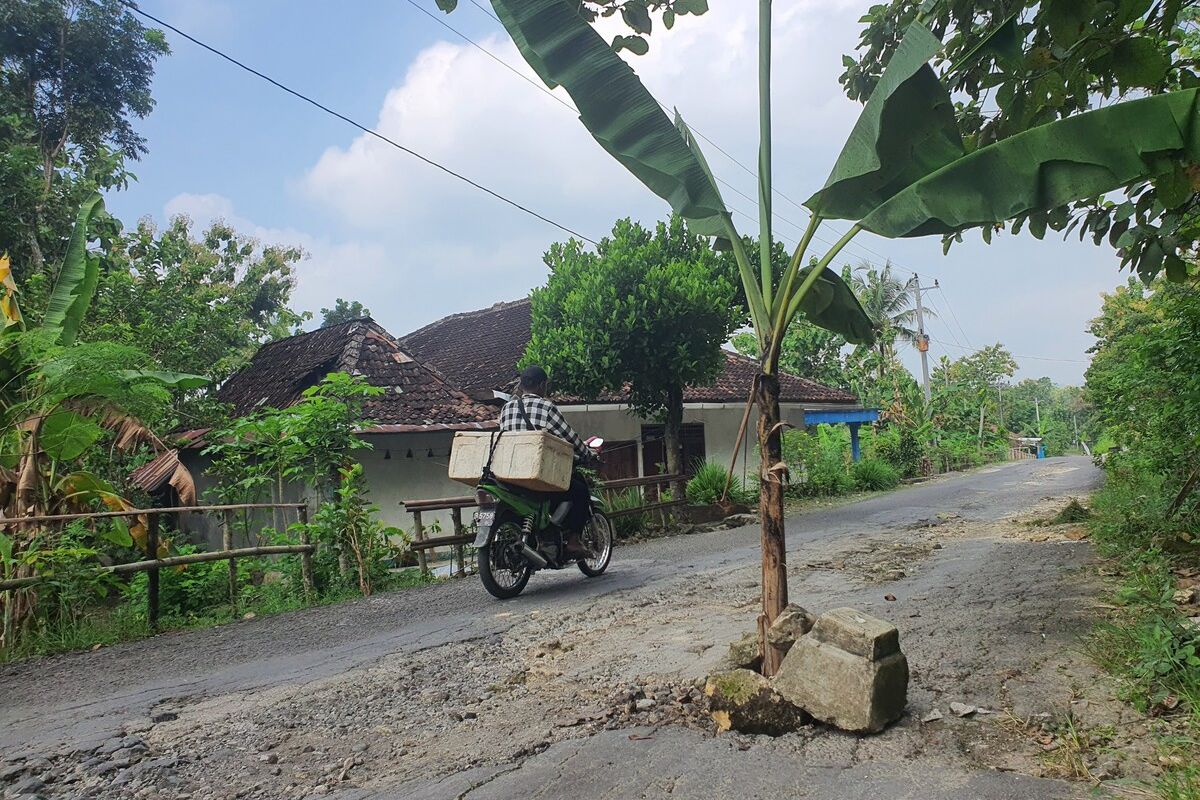 Warga melintas di jalan yang ditanam pohon pisang di Jalan Banyusoco-Playen, Playen, Gunungkidul. Kamis (10/4/2025)