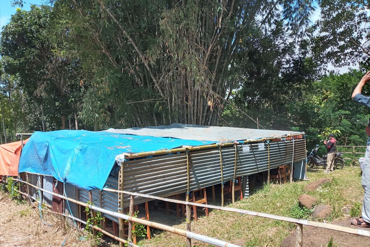 Tenda darurat sebagai USBD SMP Satu Atap (Satap) Mesi dibawah rumpun Bambu Betong Torok, Desa Rana Kolong, Kecamatan Kota Komba, Kab. Manggarai Timur, NTT, Rabu, (14/4/2021. sebanyak 56 siswa melaksanakan ujian didalam tenda darurat berwarna biru tersebut. (KOMPAS.com/MARKUS MAKUR)