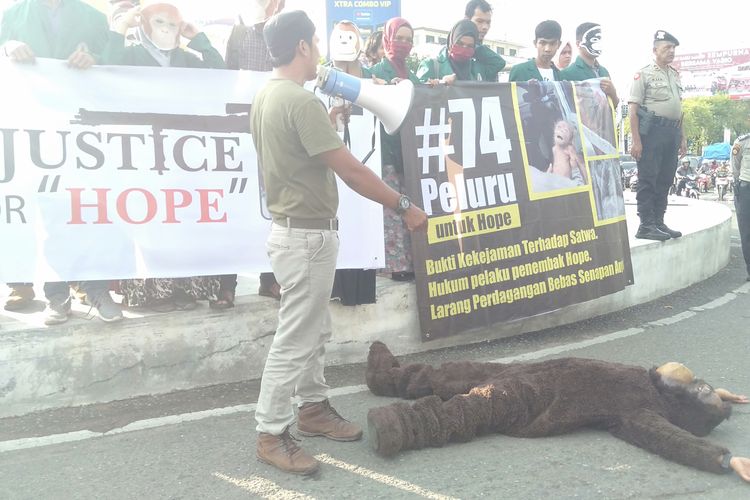 Puluhan mahasiswa yang tergabung dalam koalisi peduli orangutan sumatera beraksi teatrikal menggambarkan ksakitan yang diderita oleh Hope, individu orangutan yang kini dirawat intensif di pusat karantina orangutan di Sibolangit, Sumatera Utara.