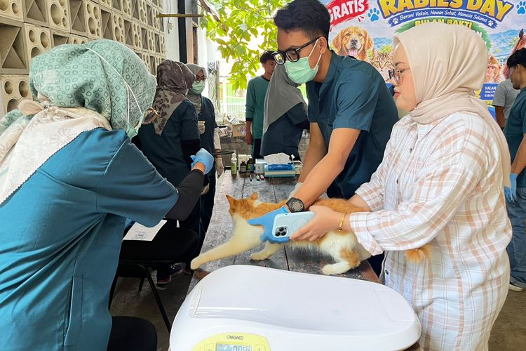Warga Purwakarta Antusias Antre Vaksin Rabies Gratis, Bawa Kucing dan Anjing sejak Pagi