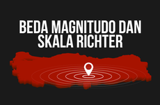INFOGRAFIK: Apa Beda Magnitudo dan Skala Richter? Simak Penjelasannya
